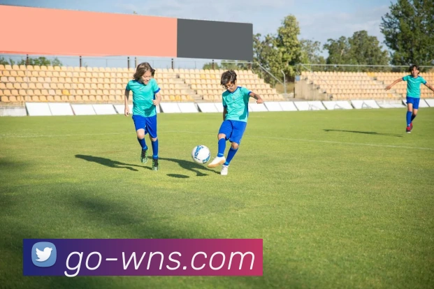 威尼斯人官网服务体系